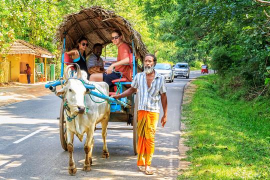 Dambulla Village Tour Image
