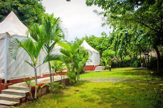 Nature Bliss Resort Image