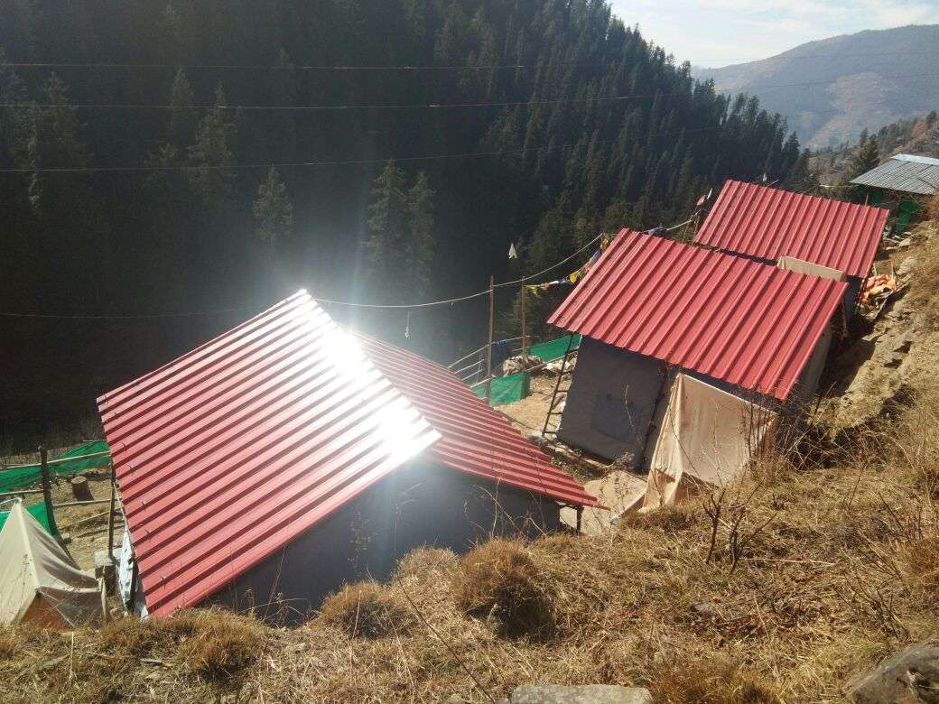 Jungle Camping In Narkanda Image