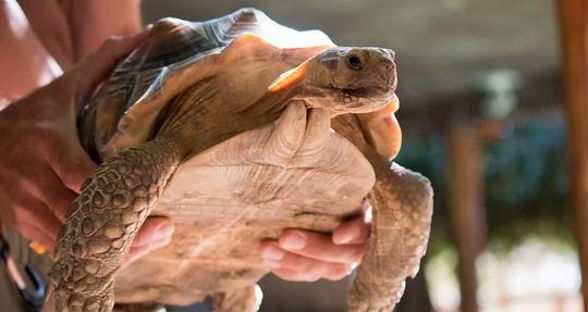 Desert Hills Premium Outlet Shuttle Tour from Los Angeles Image