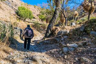 V8bofgcywelpb3agswen022sl02q nag tibba