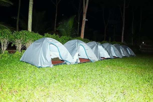 V8cbu1p1g7od8tyffn0cdt4ybmjg 2fddf9 696628a7fcfb40d6ad7439af74de45b1~mv2