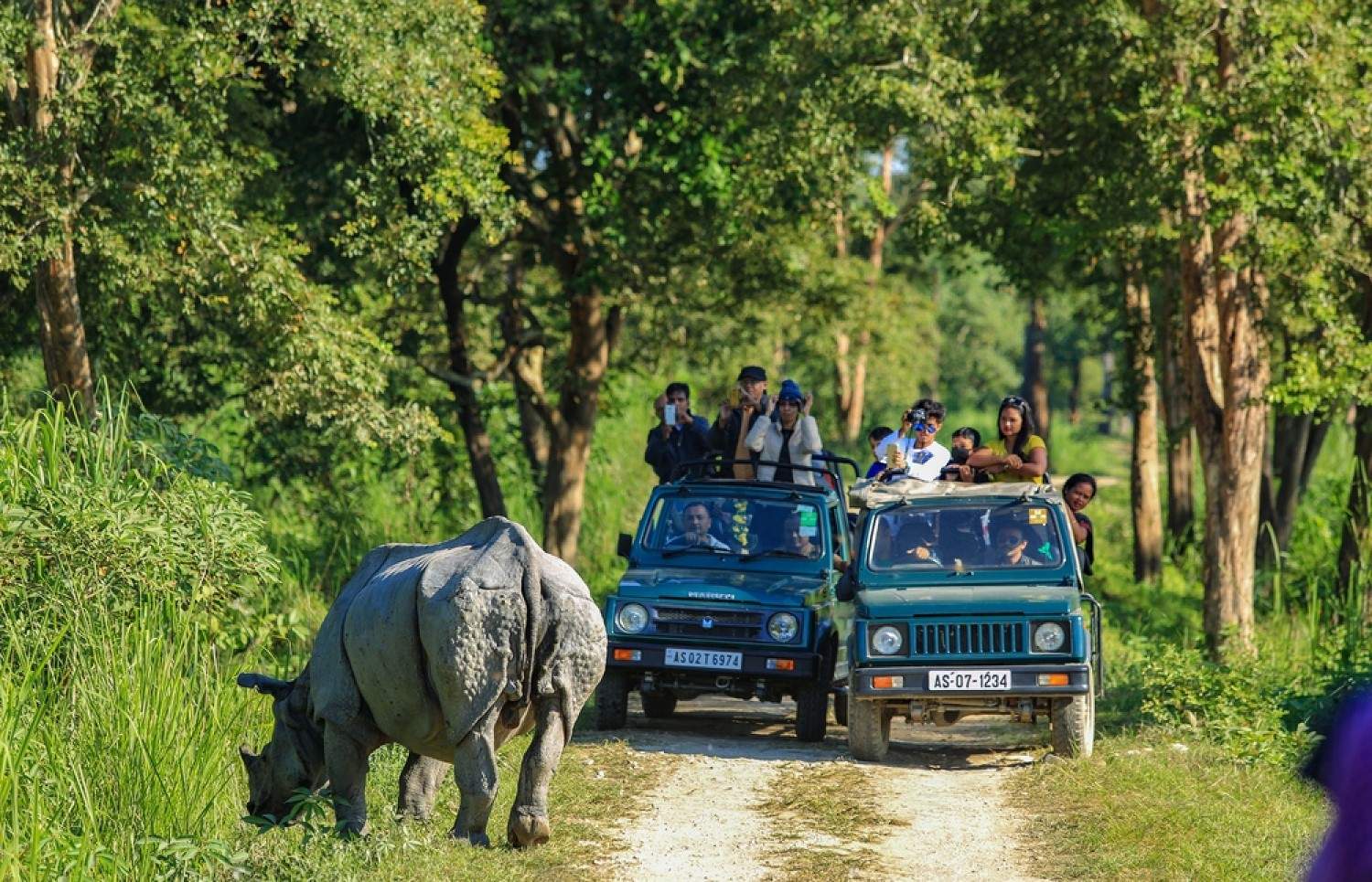 Embark on an unforgettable jeep safari through Kaziranga’s wilderness
