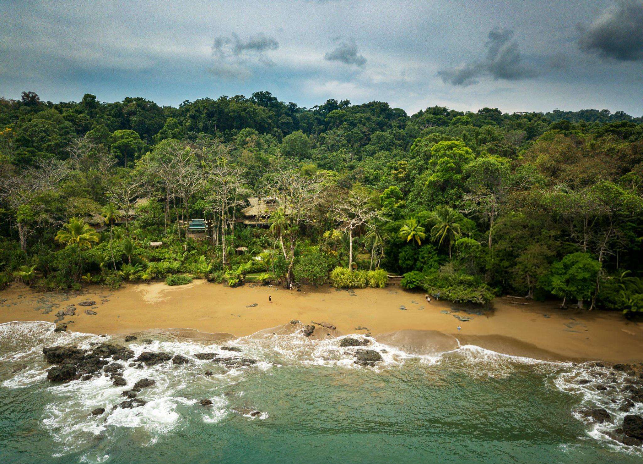Stroll across the coast at Tortuguero National Park