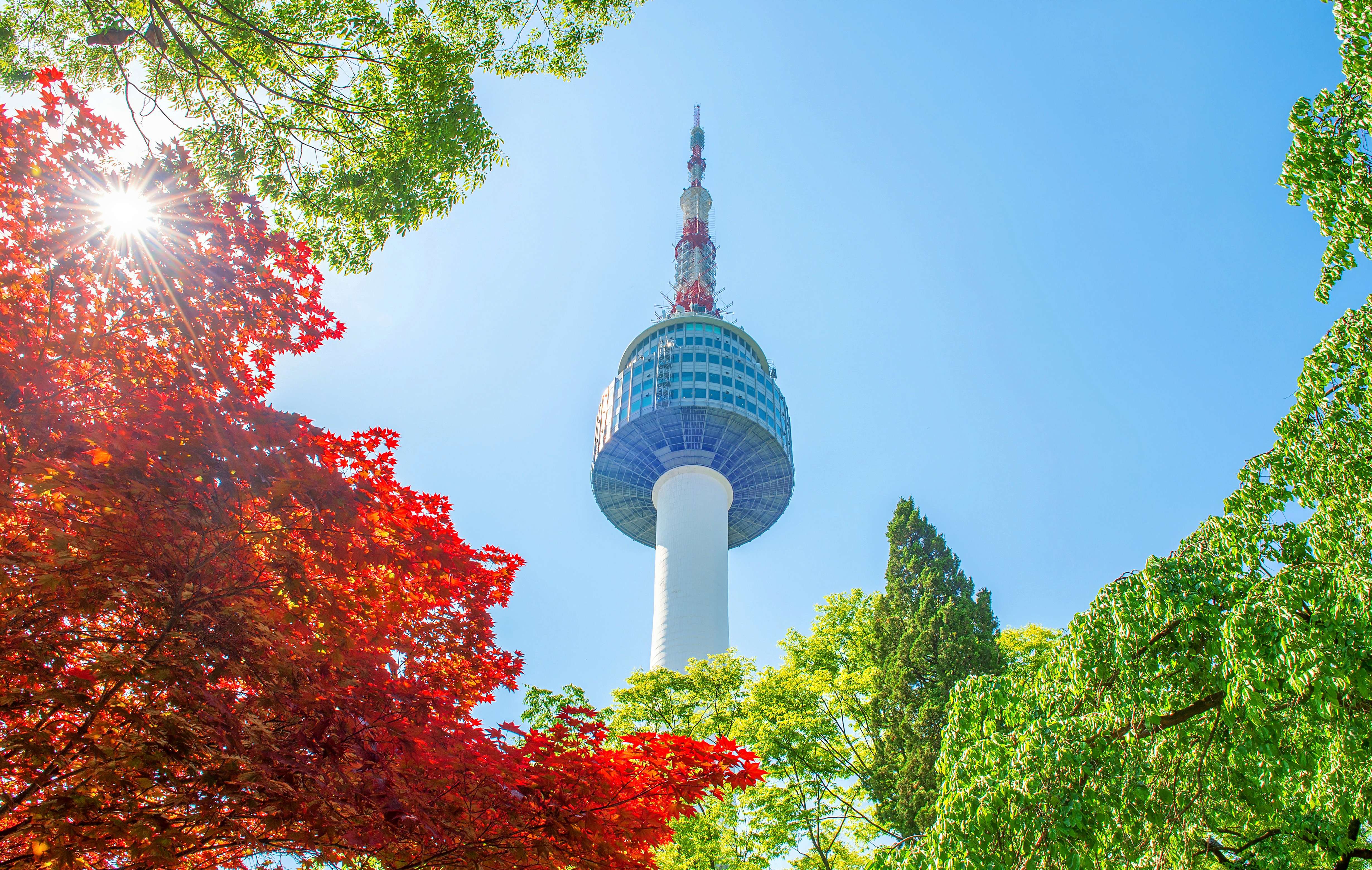 Explore the breathtaking views at N Seoul Tower, Seoul's iconic landmark