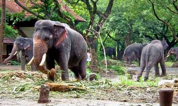 Vbao1gcdulytxun7sx8pvbnpzo4h 1550743805 49979343.jpg