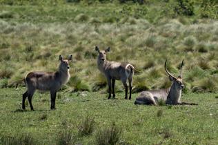 iSimangaliso Wetland Park
