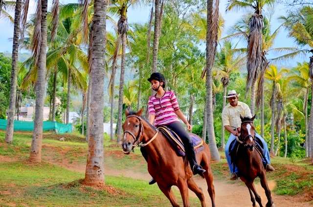 Horse Riding In Mysore