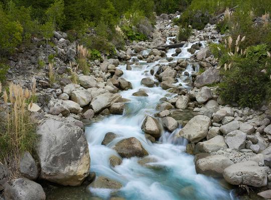 Camping Amidst Lush Greenery In Sakleshpur Image