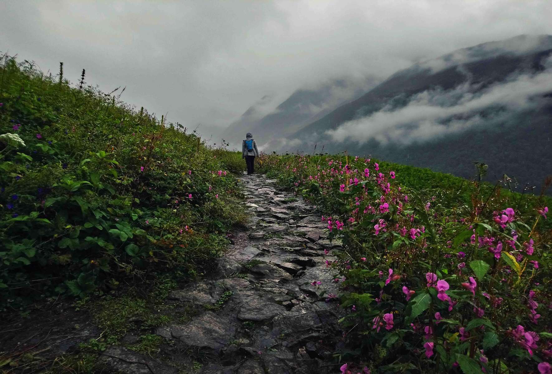 Valley of Flowers Trek Image
