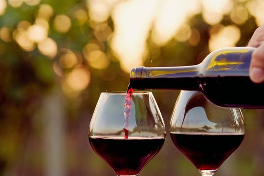 Wild Monsoon Adventure Series Chikmagalur Image