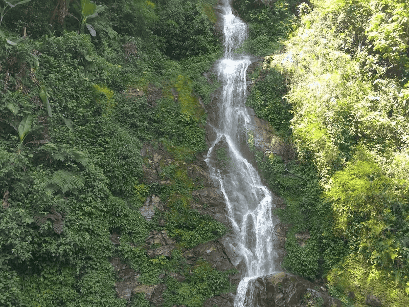 Spiritual trip to Pelling Image