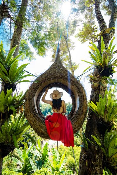 Bali Swing and Waterfall Full Day Tour Image