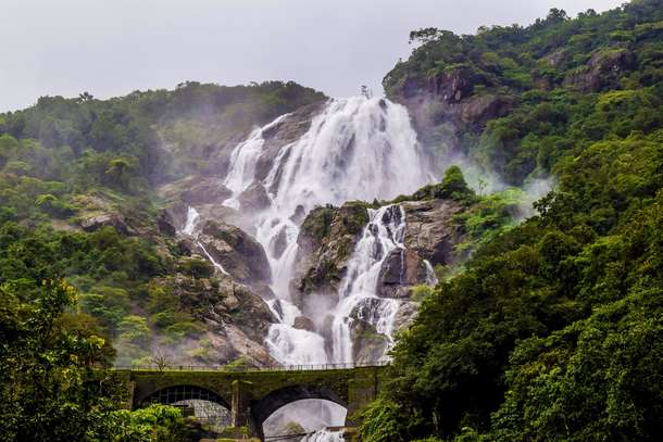 Vfku2at9jm857d2uuetsnzc1vvsd shutterstock 1750408193copy