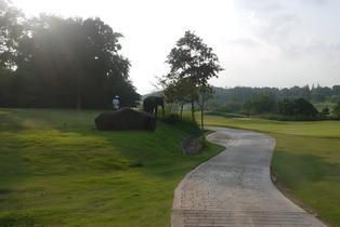 Vghn1kroqx84jf3oztfq3ptxjcw7 pixelcut export%20(3)