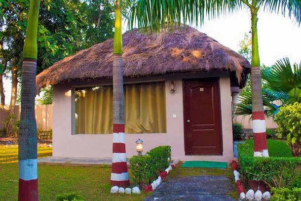 Vgumo79gmmf9qjkxu2khanwry5td 1592403226 3