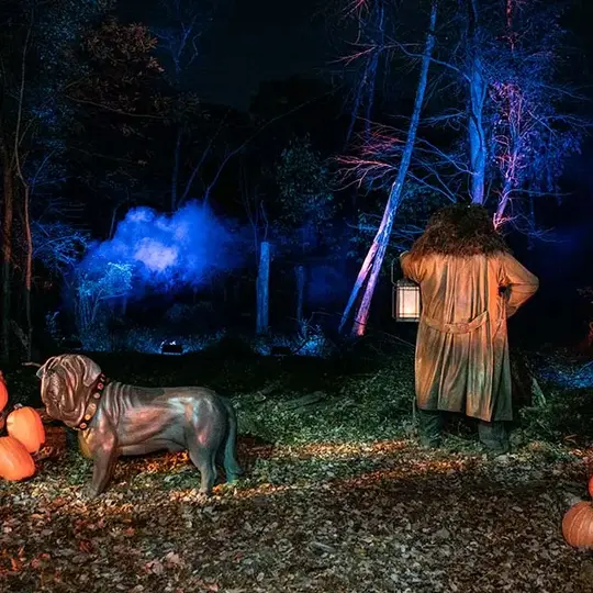 Harry Potter - A Forbidden Forest Experience Tickets Image