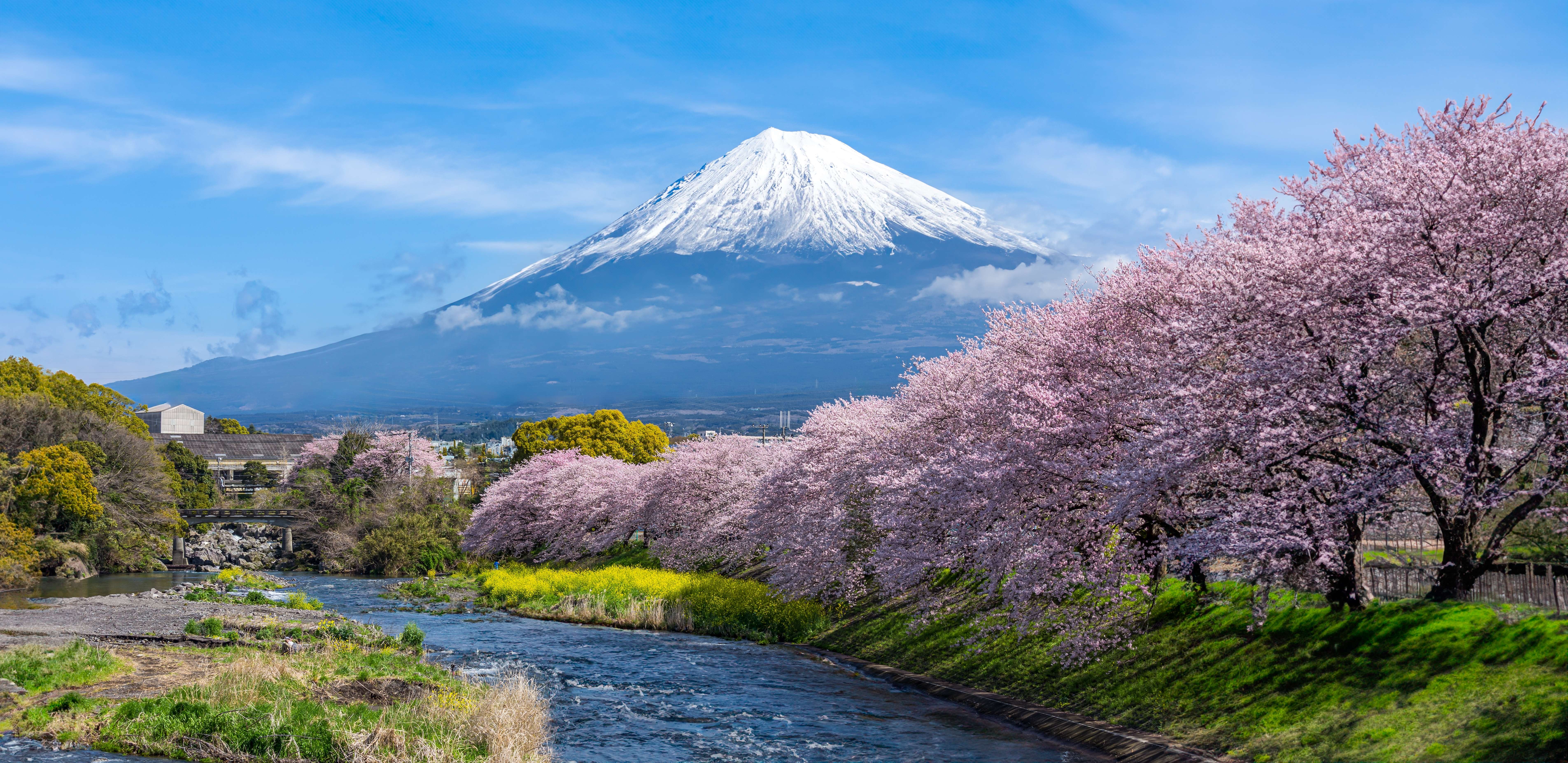 Marvel at the beauty of Japan’s iconic peak, Mount Fuji.