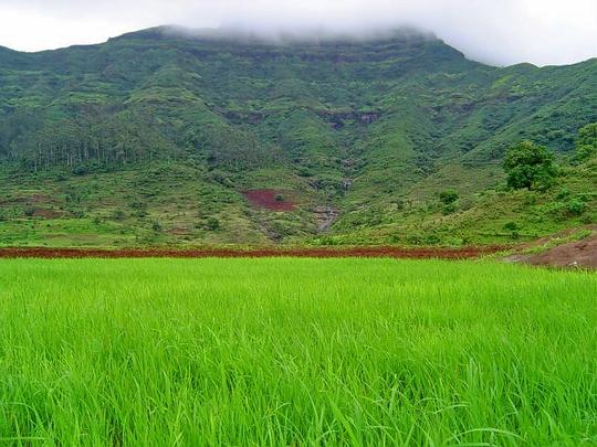 Torna Fort Trek Image