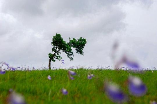 Panhala To Pawankhind Trek Image