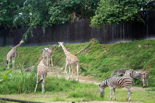 A’Famosa Malacca Tickets Image