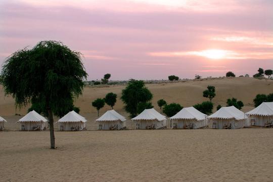 Experience unforgettable desert camping, blending culture, nature, and adventure