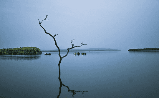 Camping With Jungle Walk, Indore Image