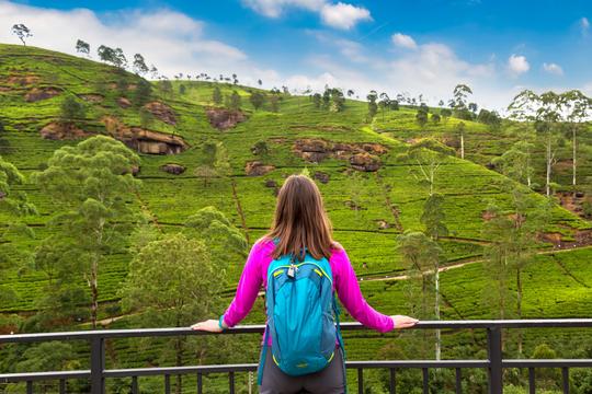 Bambarakanda Falls Hike Image