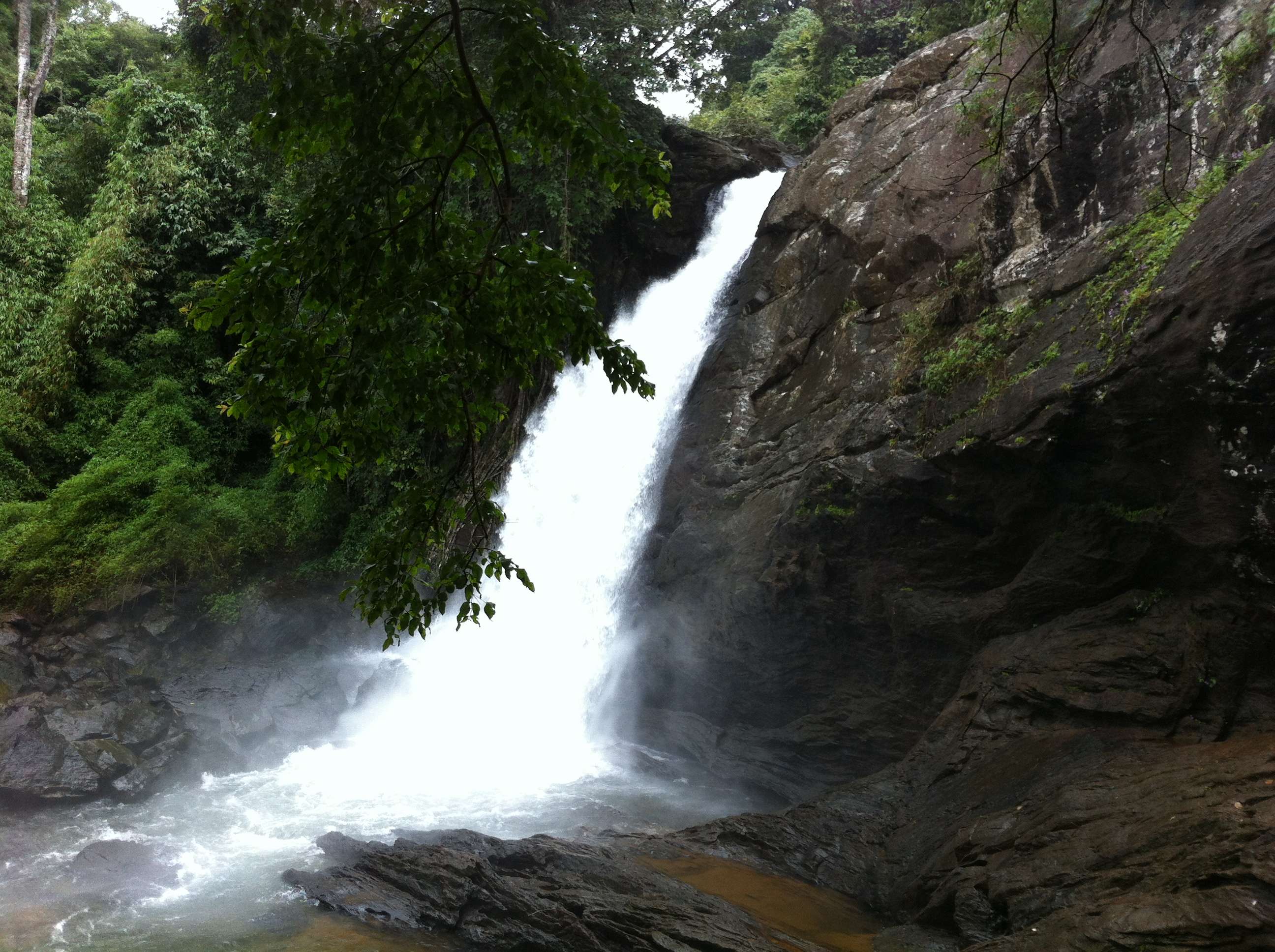Soochipara Waterfalls Overview