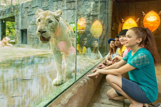 Sunway Lagoon Tickets Image