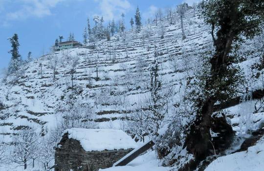 Riverside Camping In Jibhi Image