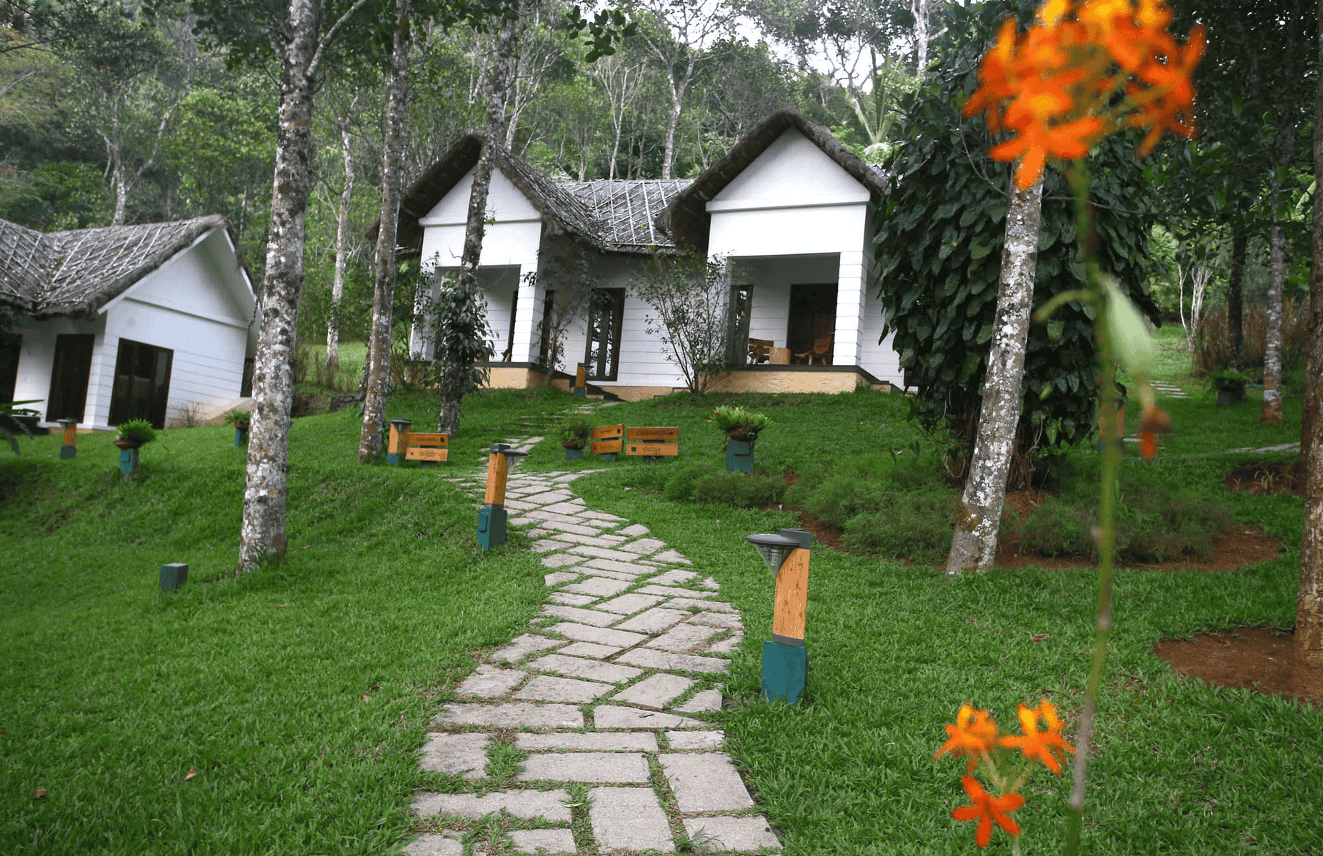 Niraamaya Retreats Cardamom Club Image