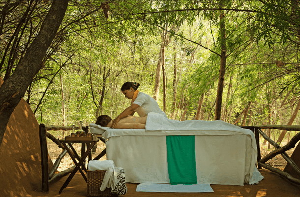 Vsf24ttfodvvpxqcc333dz0cgo8c 5