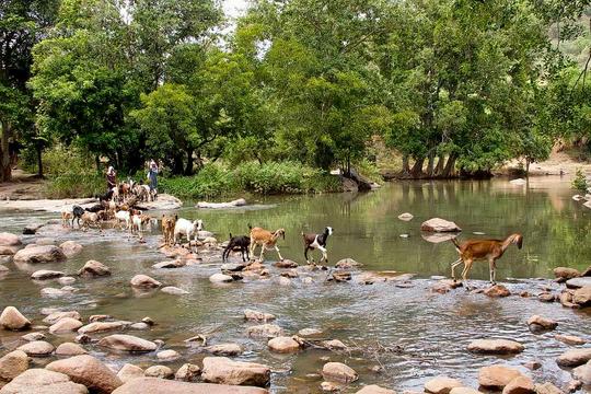 Chinnar Wildlife Sanctuary Jeep Safari Image