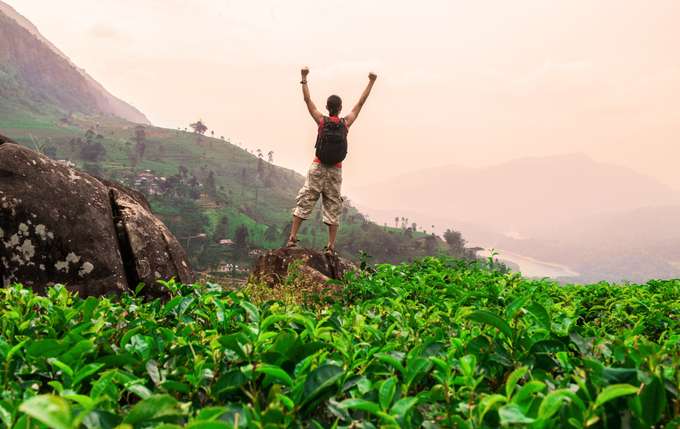 Munnar Half Day Trekking Through Tea Plantation