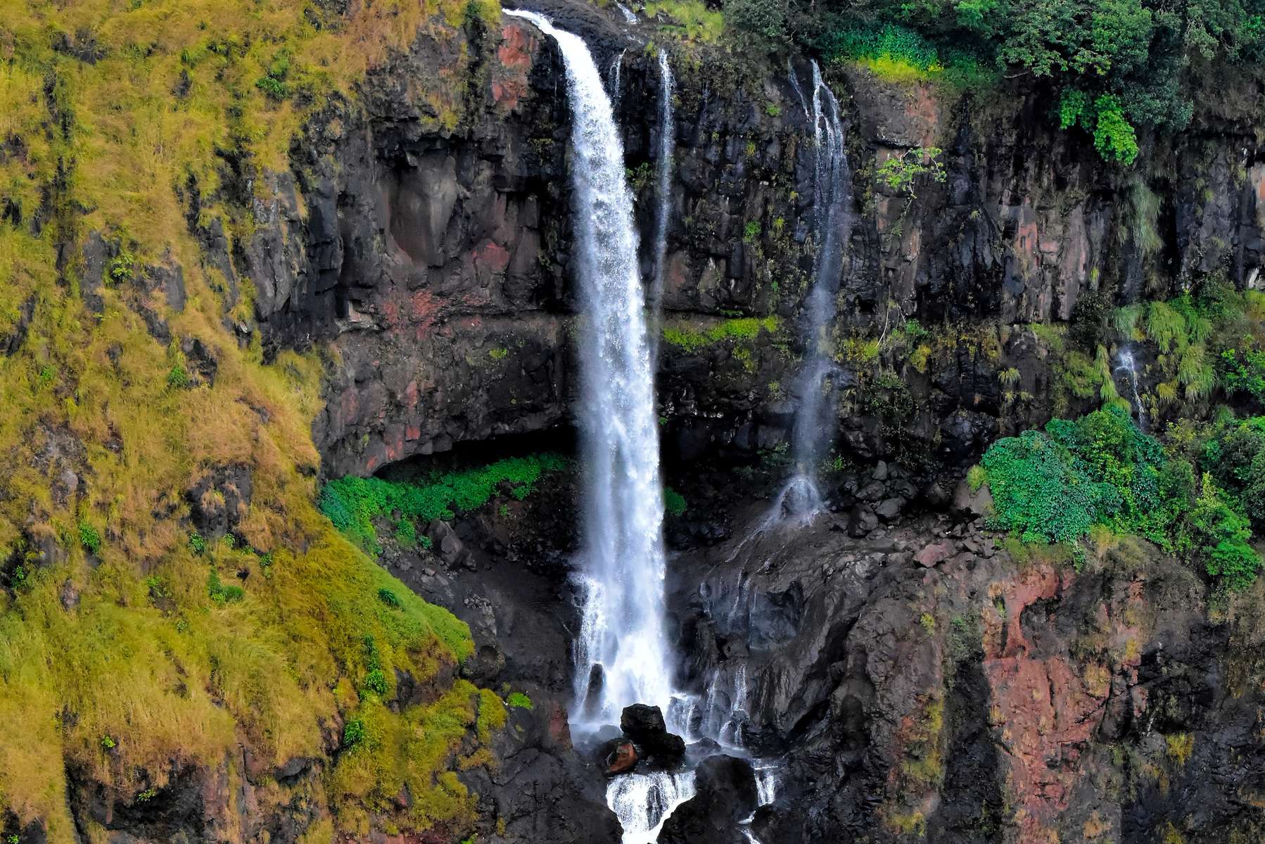 Mahabaleshwar Tour Package From Dadar Image