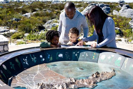 South Africa Family Special Tour Image