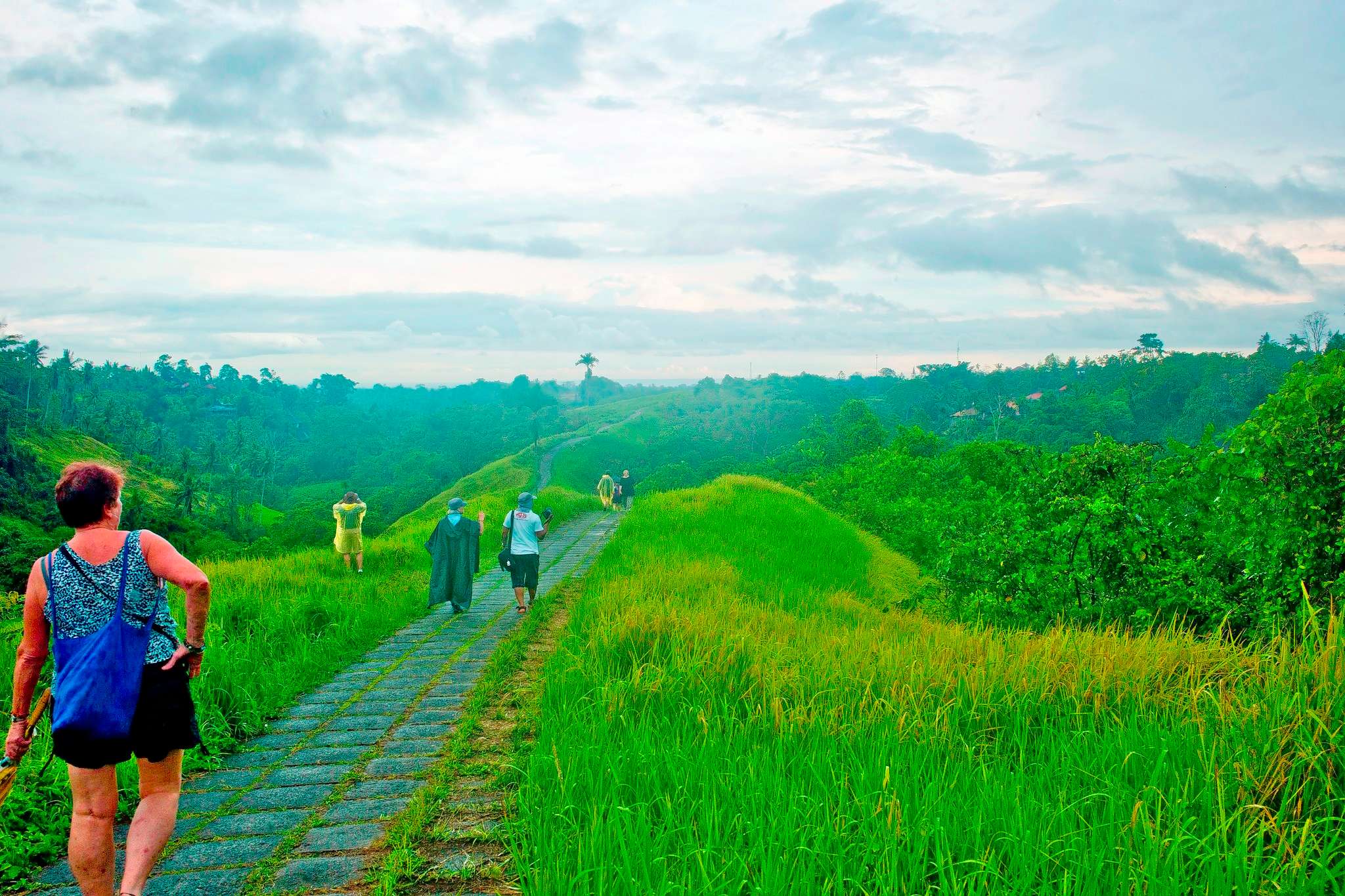 Unique Jatiluwih Rice Trekking in Bali