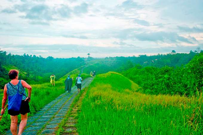 Unique Jatiluwih Rice Trekking in Bali