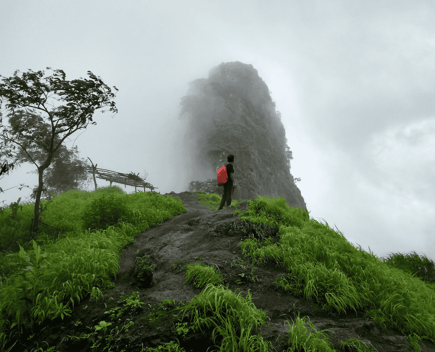 Peth Fort Trek Kothaligad Image