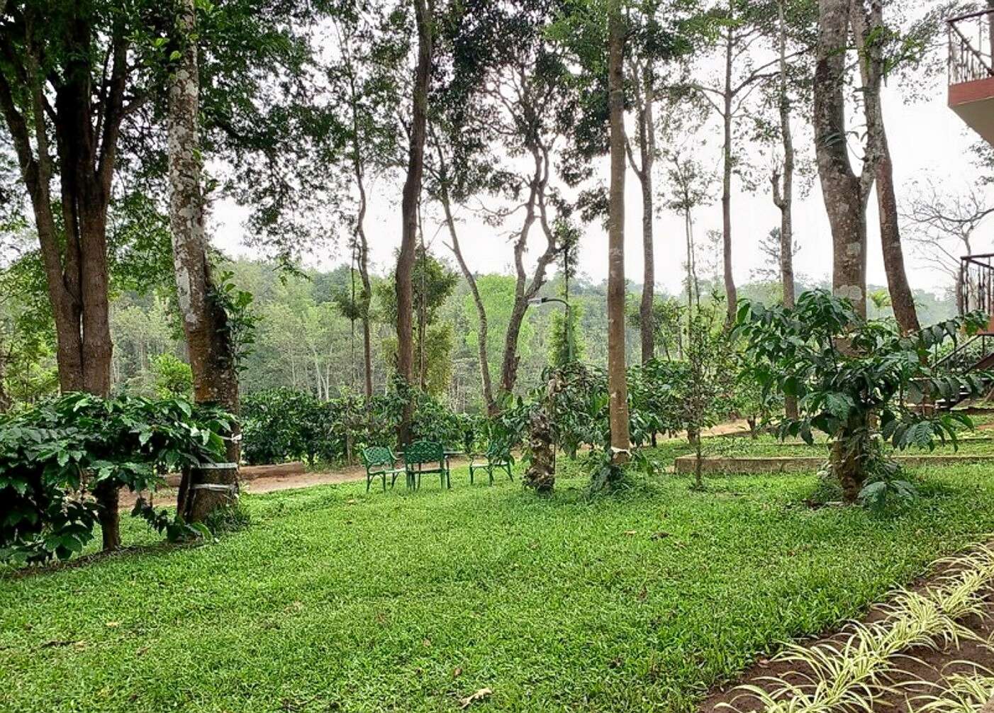 Machaan Wilderness Lodge, Coorg Image