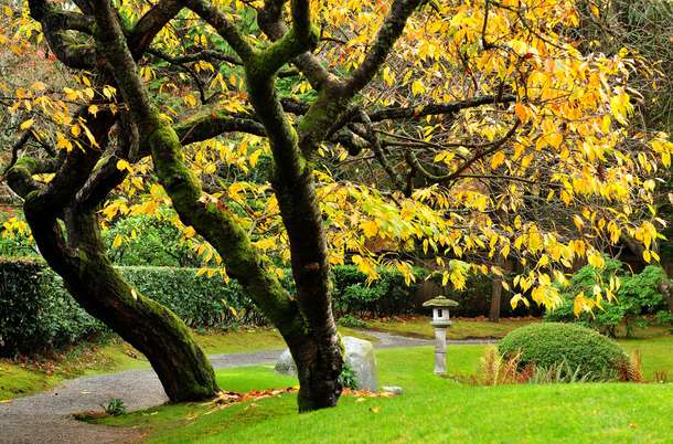 Vzrwcpqwp70ud2j5orxei1cjvk7y shutterstock 20166208