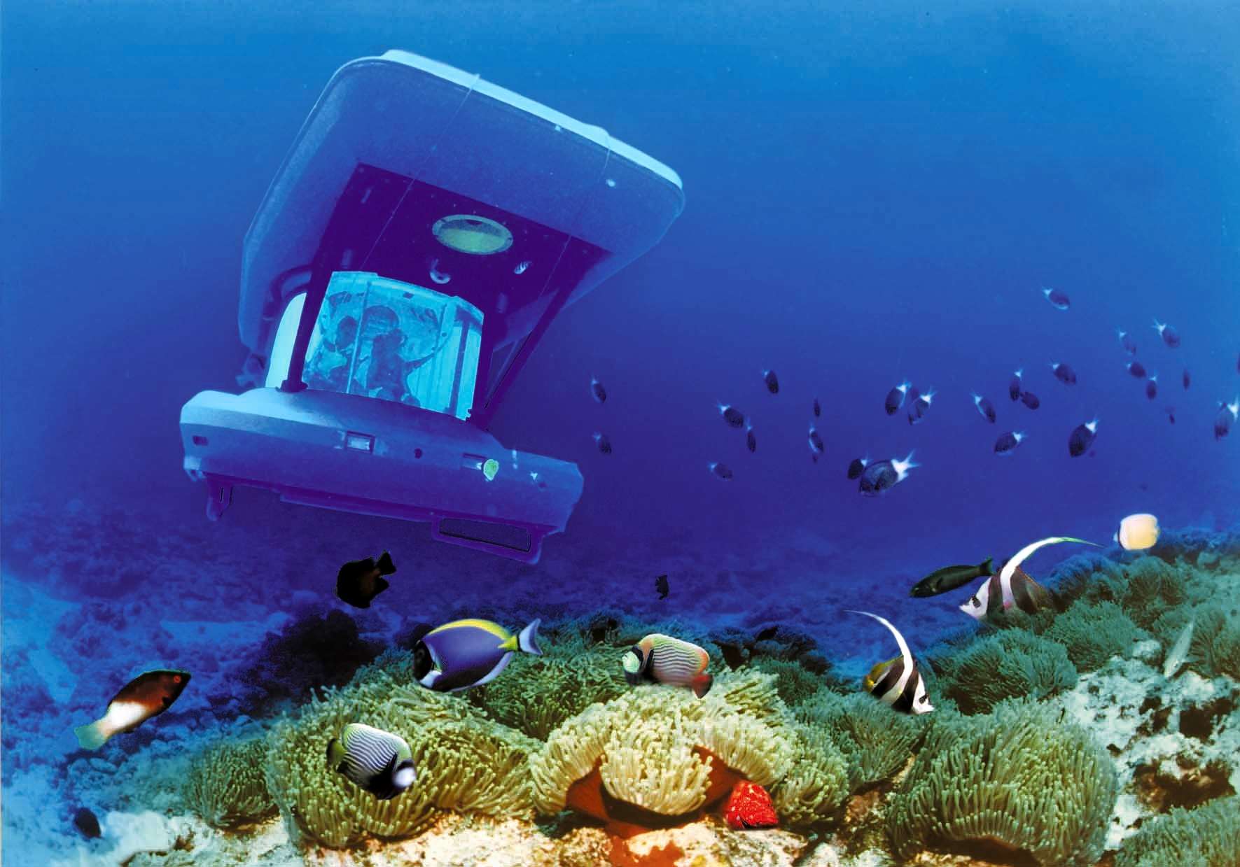 35 Meter Submarine Dive in the Indian Ocean