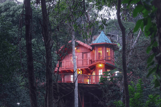 A Treehouse Amidst The Valley Of Coorg Image