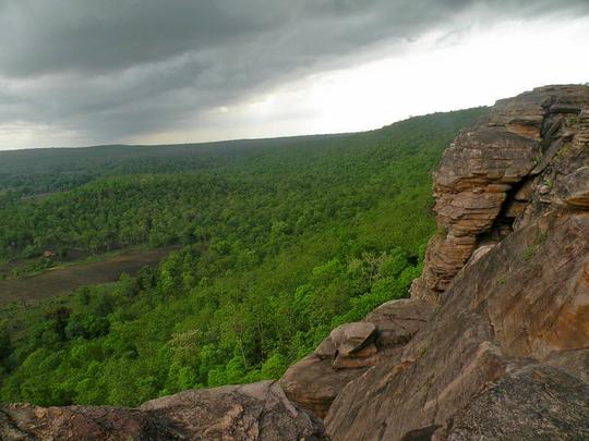 Kanha To Pench Tour From Nagpur Image