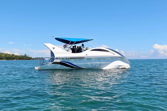 Dolphin Glass Bottom Boat Ride Image