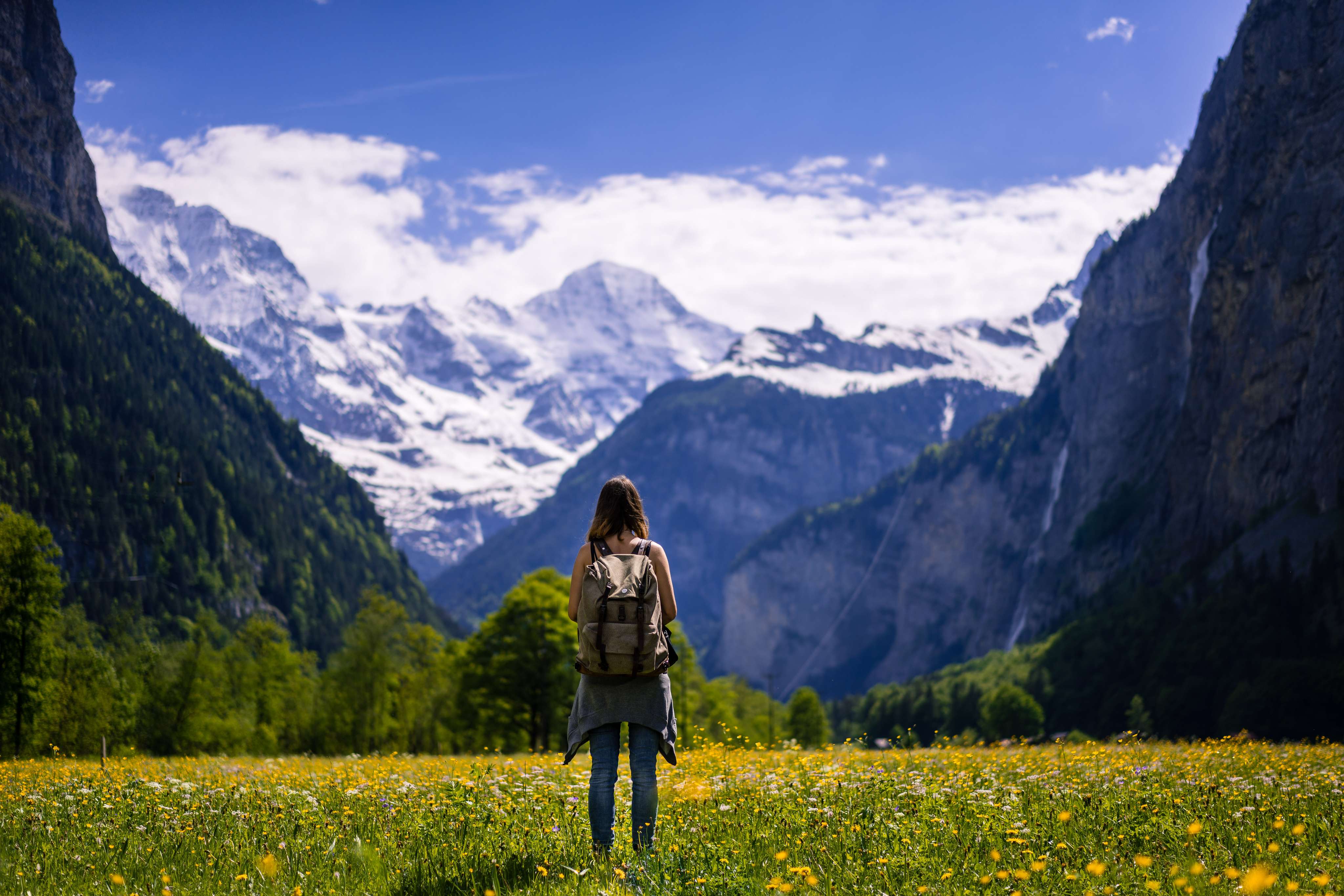 Explore Shangarh and Jibhi in Himachal