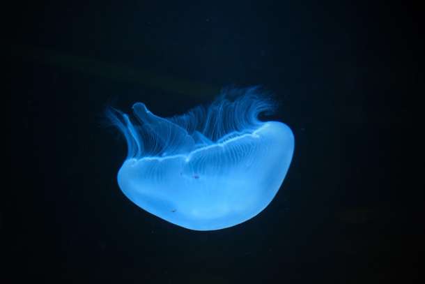 W34grudw72v3rnv458wkhk0tqub0 222582578 10159563648294516 8802244663588903342 n