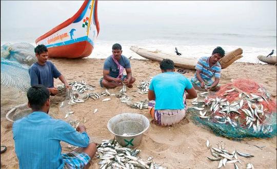 Fishing In Mumbai Image