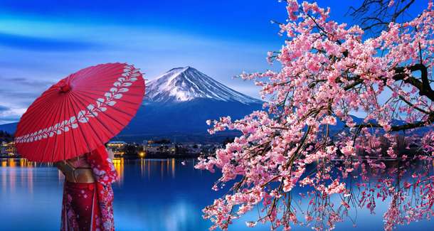 Soak-in the stunning views of the Mt. Fuji during your tour